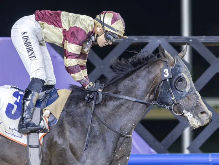 Racing Recap: 20-22 February | Racing971 | United Arab Emirates Racing